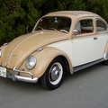 1962 RagTop BUG