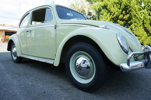 1963bug7.jpg