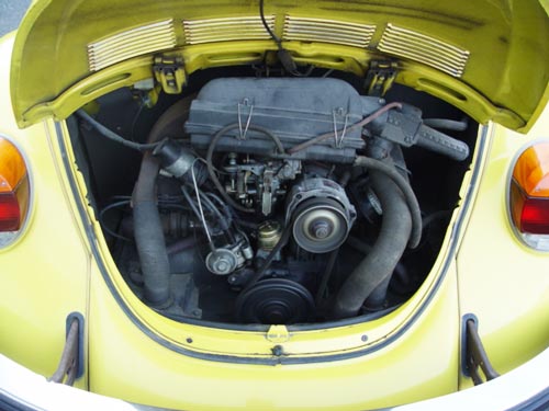 1975_beetle_4.jpg