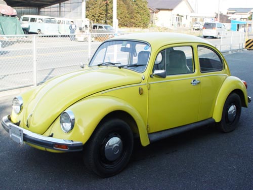 1975_beetle_8.jpg